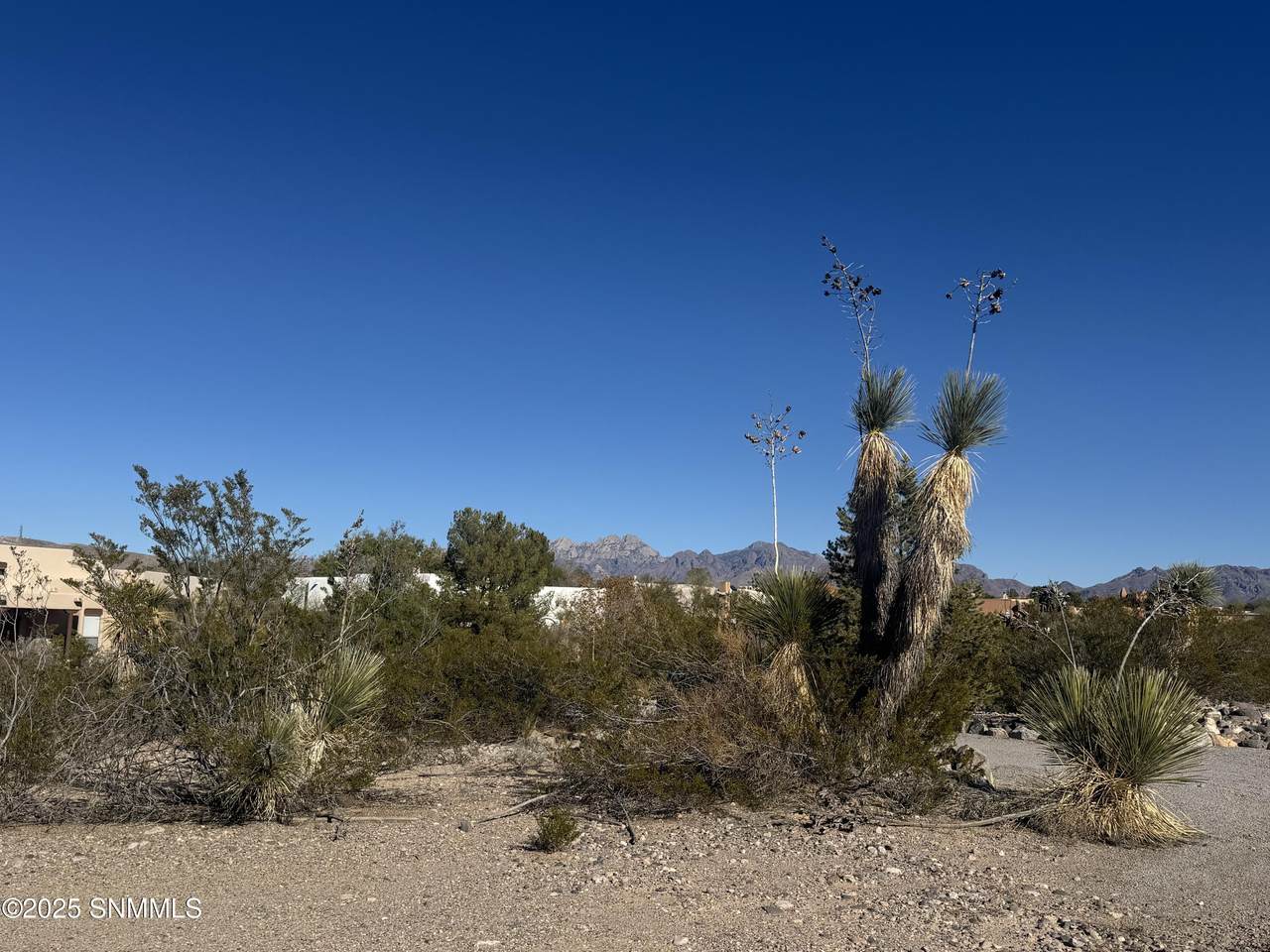 https://bt-photos.global.ssl.fastly.net/lascruces/1280_boomver_1_2503909-2.jpg