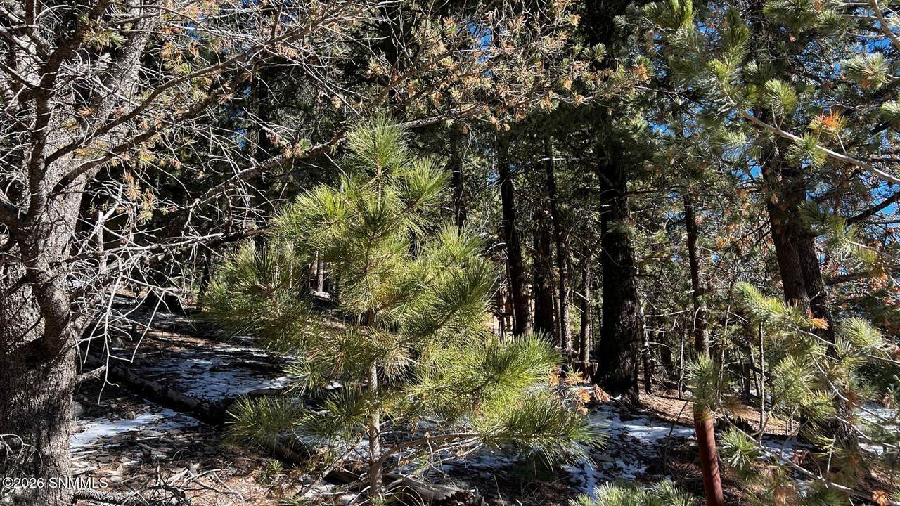 123 Canyon Trail - Photo 1