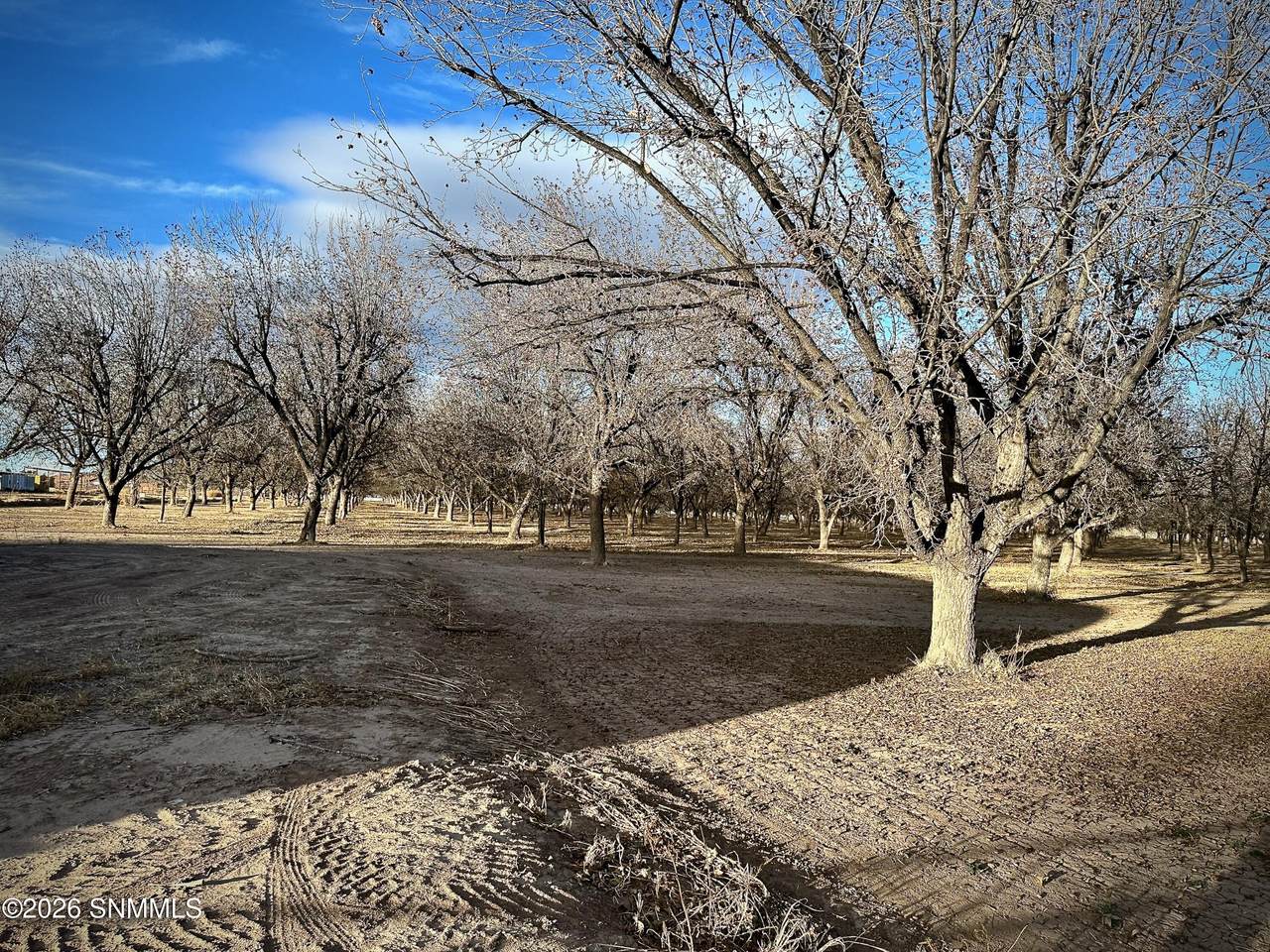 https://bt-photos.global.ssl.fastly.net/lascruces/1280_boomver_1_2601022-2.jpg