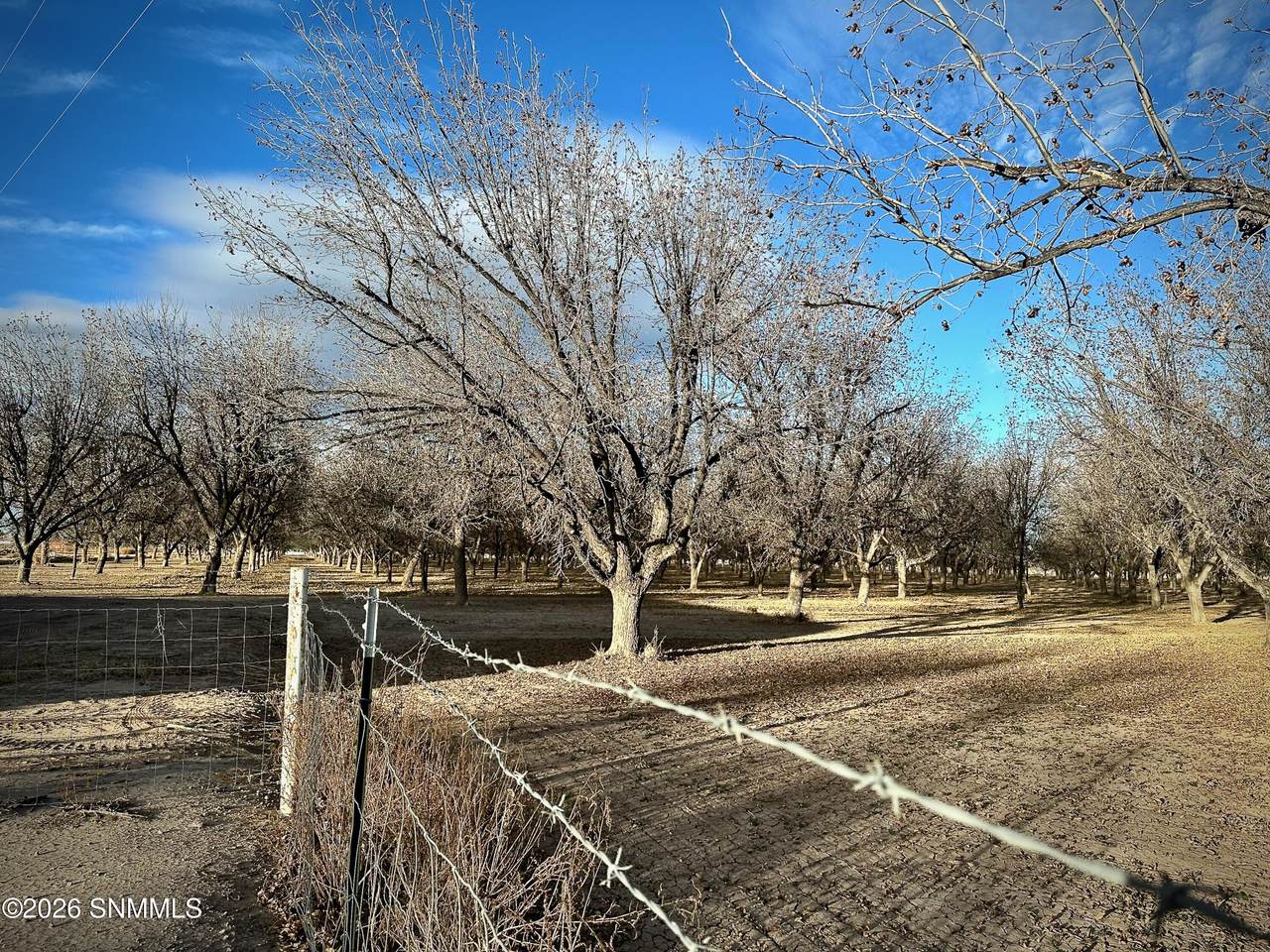 https://bt-photos.global.ssl.fastly.net/lascruces/1280_boomver_1_2601022-2.jpg