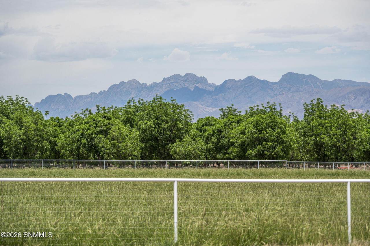https://bt-photos.global.ssl.fastly.net/lascruces/1280_boomver_1_2601600-2.jpg