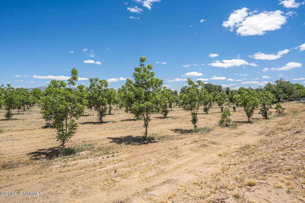 LOT 3 TBD Old River Road - Photo 1