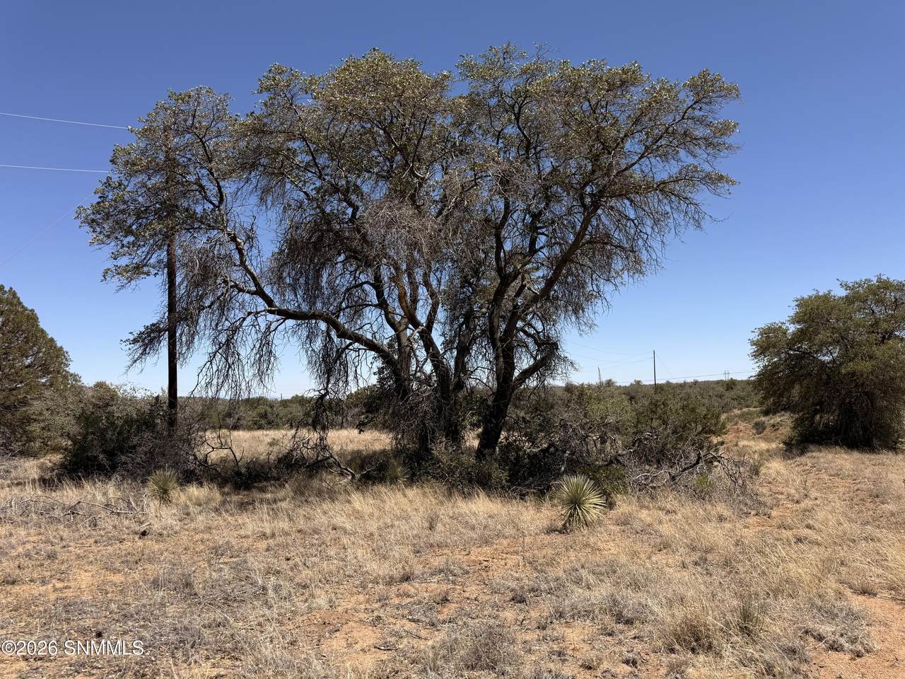 https://bt-photos.global.ssl.fastly.net/lascruces/1280_boomver_1_2601726-2.jpg
