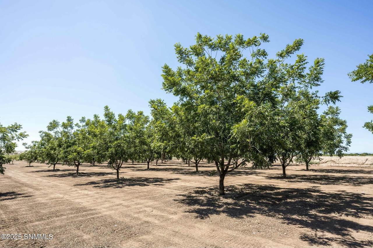 215 Red Hills Road - Photo 1