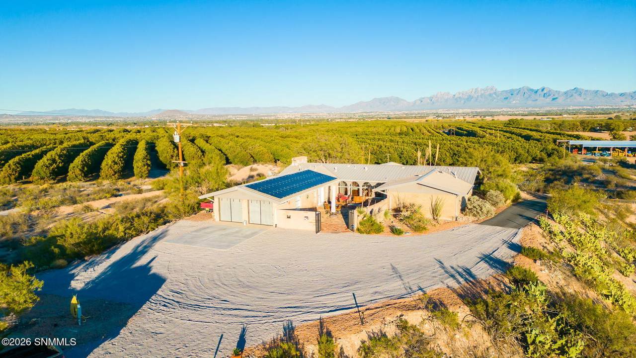 3815 Pantera Circle - Photo 1