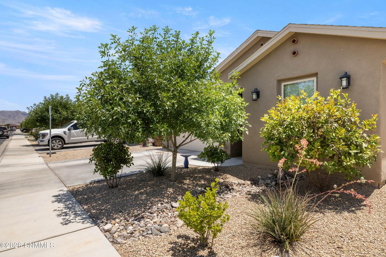3866 San Marino Road - Photo 1