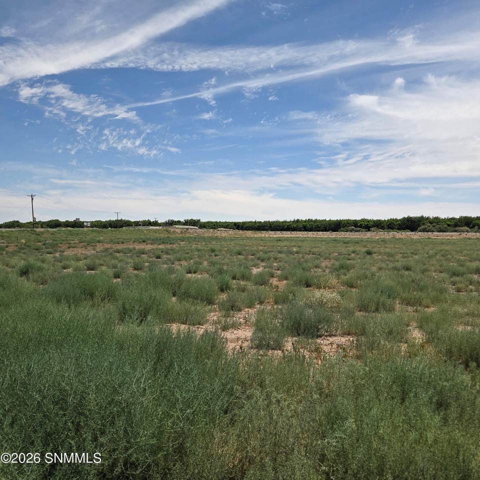 6525 Valle Del Rio Drive - Photo 1
