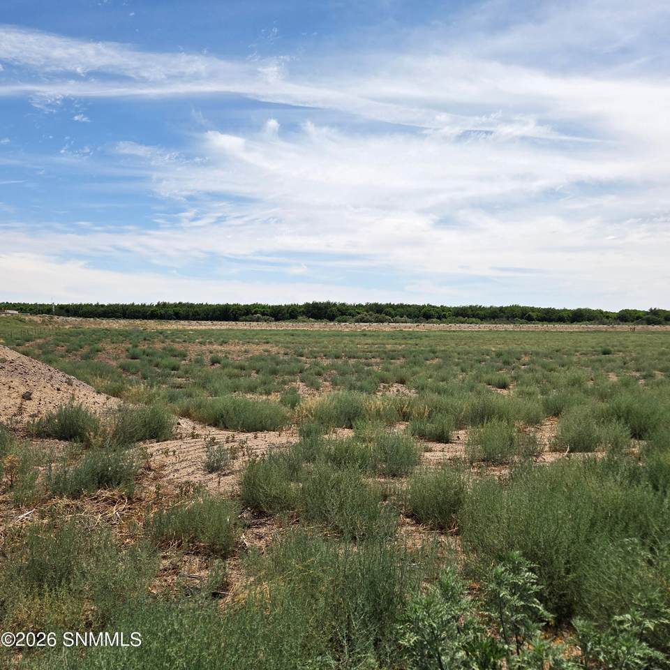 https://bt-photos.global.ssl.fastly.net/lascruces/1280_boomver_1_2602139-2.jpg