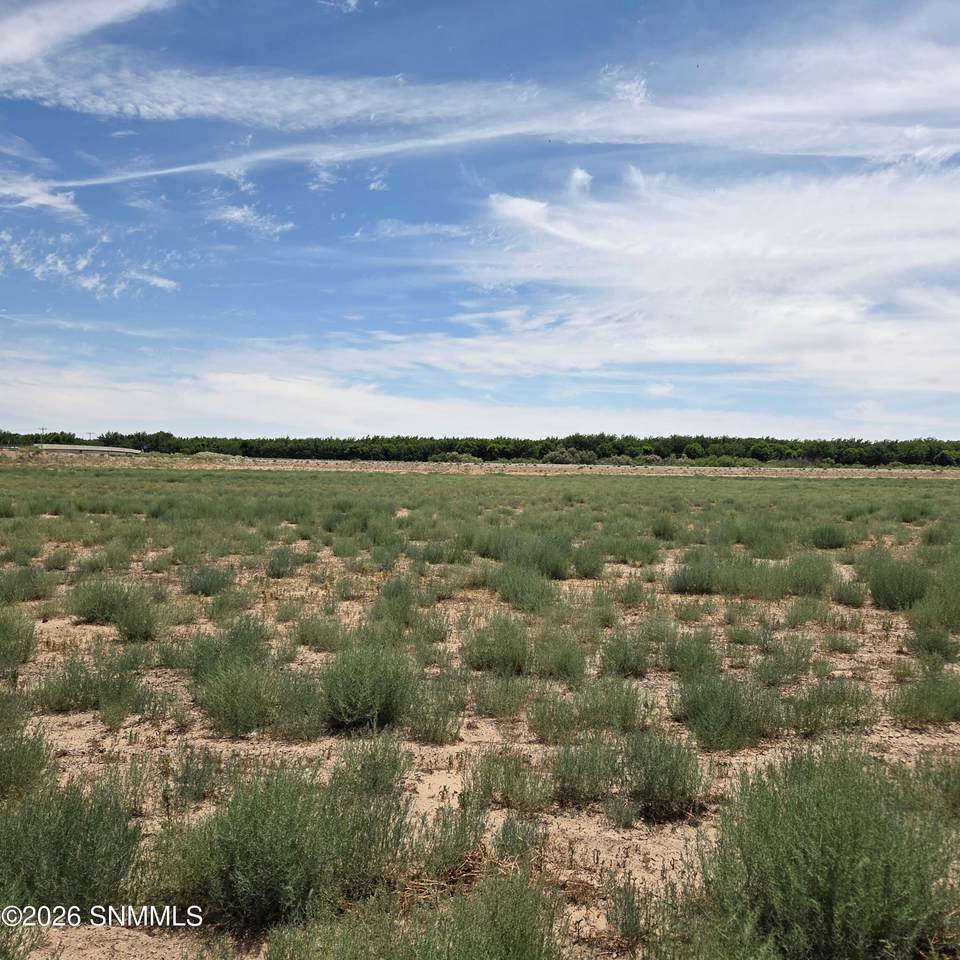 6525 Valle Del Rio Drive - Photo 1