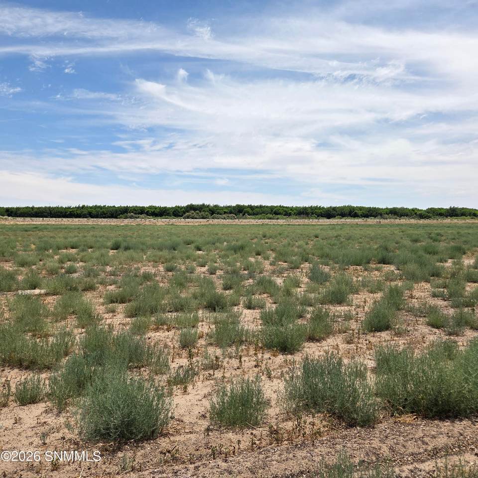 https://bt-photos.global.ssl.fastly.net/lascruces/1280_boomver_1_2602140-2.jpg
