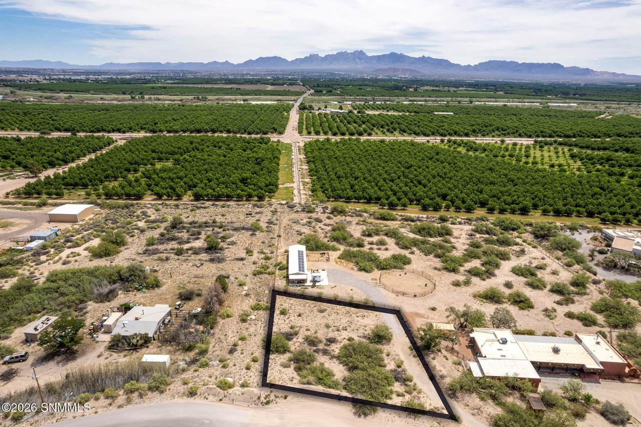 2285 Mesilla Hills Drive - Photo 1