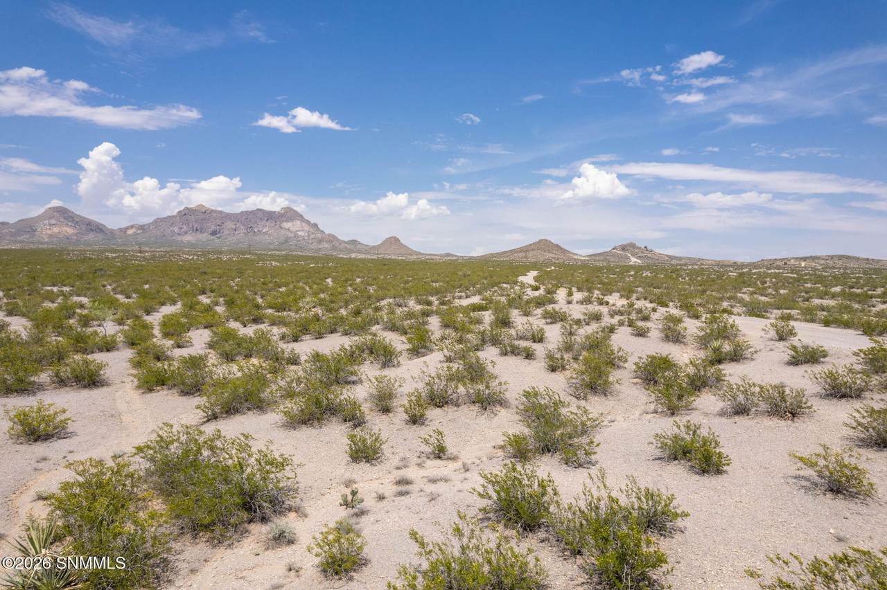 https://bt-photos.global.ssl.fastly.net/lascruces/1280_boomver_1_2602520-2.jpg
