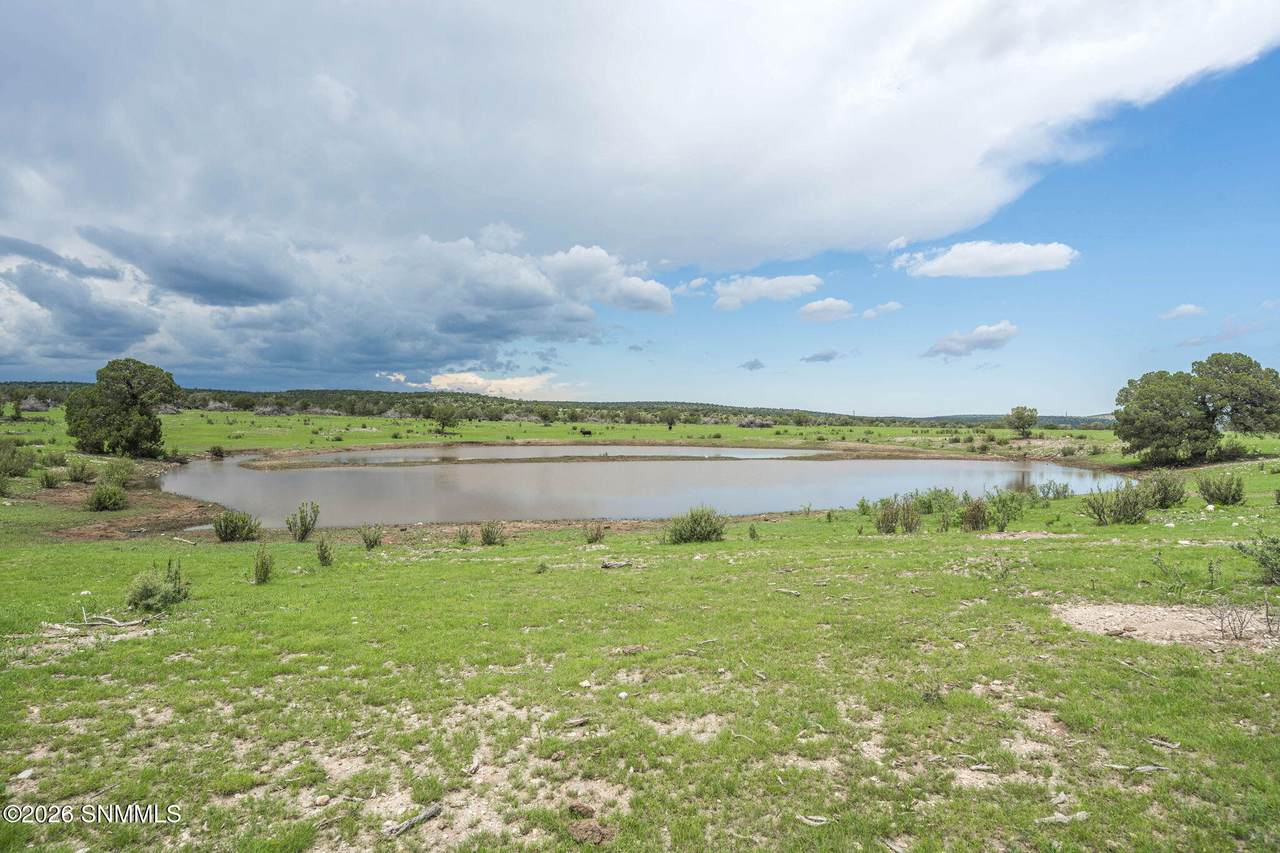1604 Nm Highway 24 - Photo 1