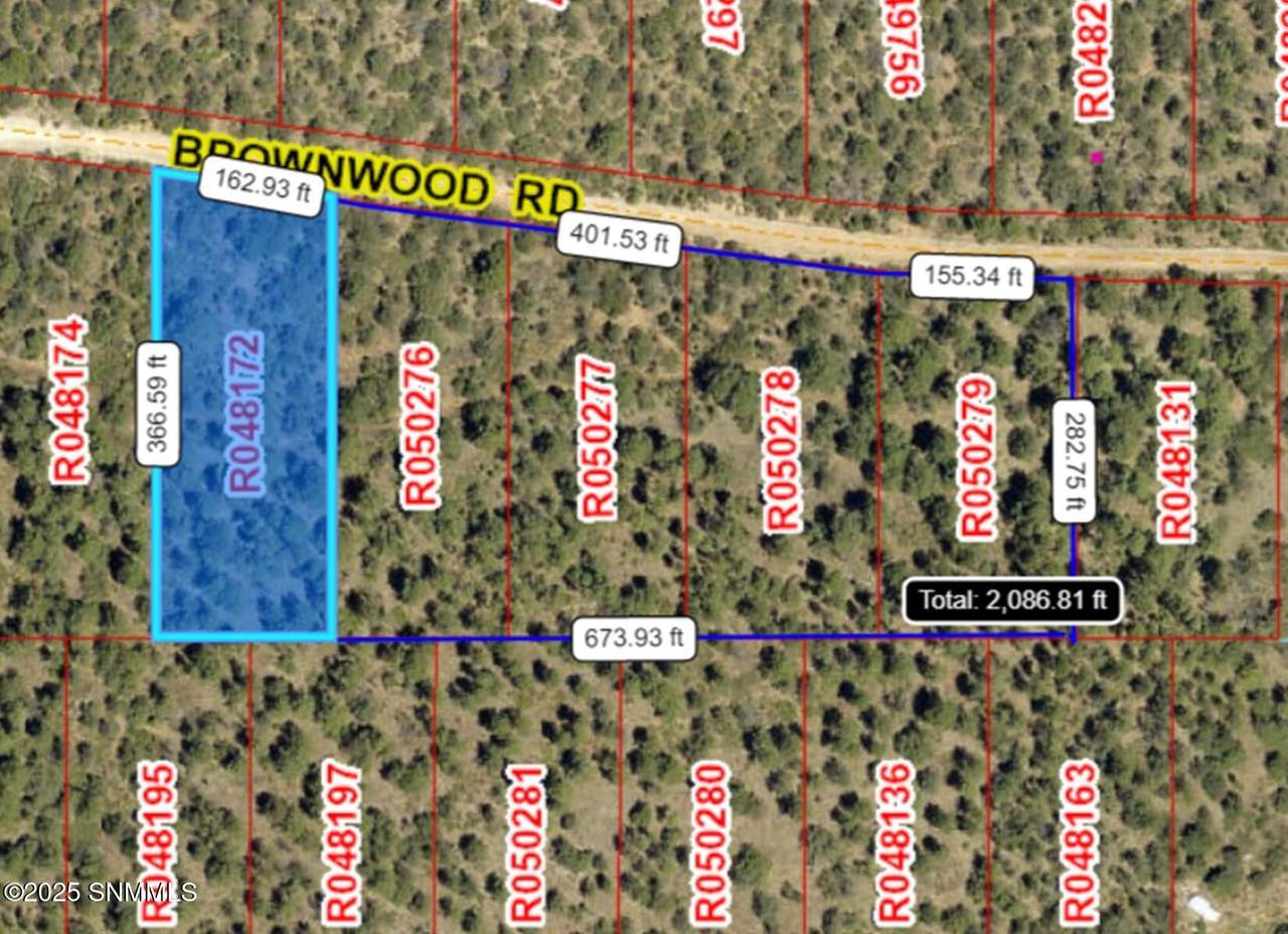 60 Brownwood Road - Photo 1