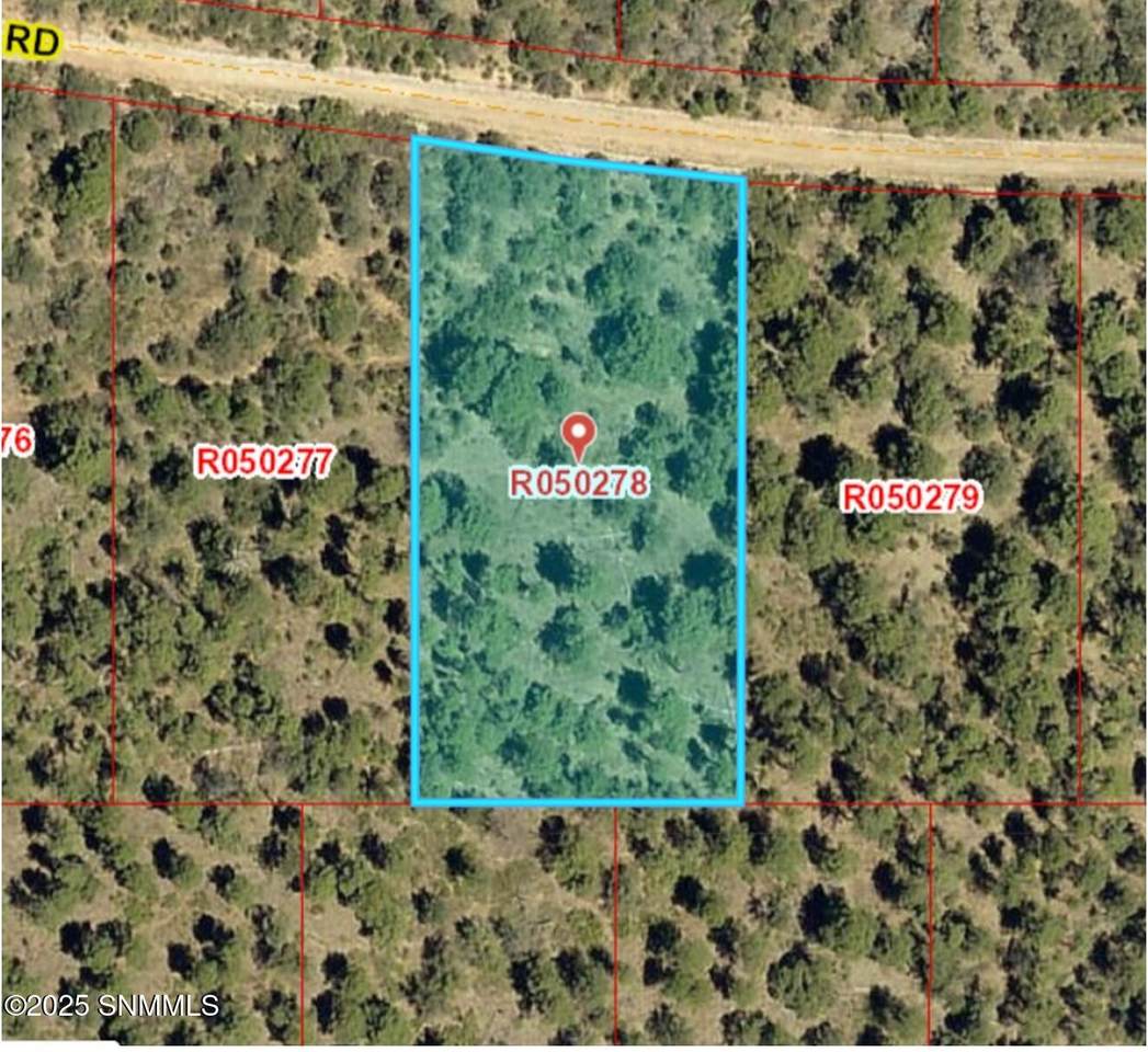 72 Brownwood Road - Photo 1