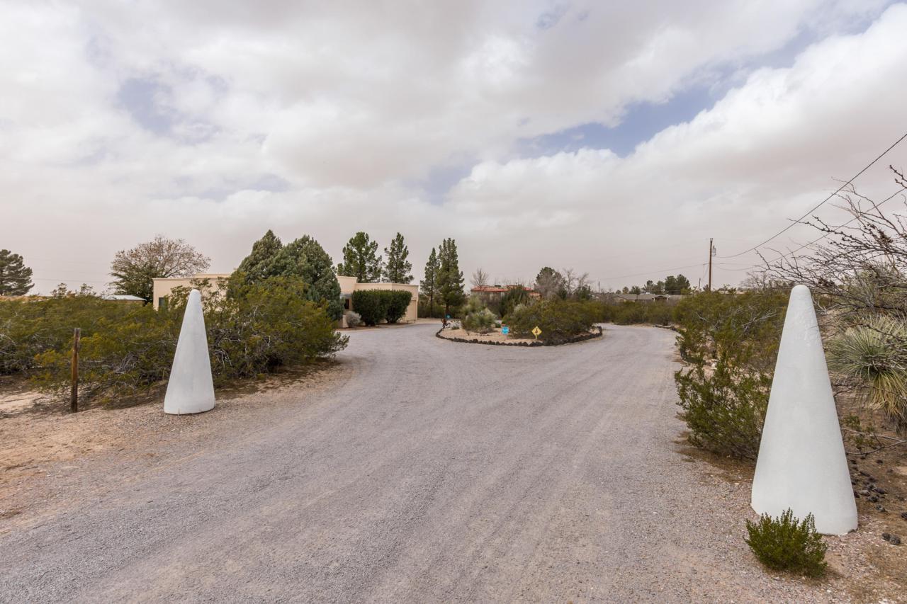 4091 Sotol Drive - Photo 1