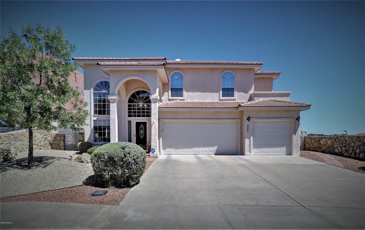 533 Corona Del Campo Loop - Photo 1