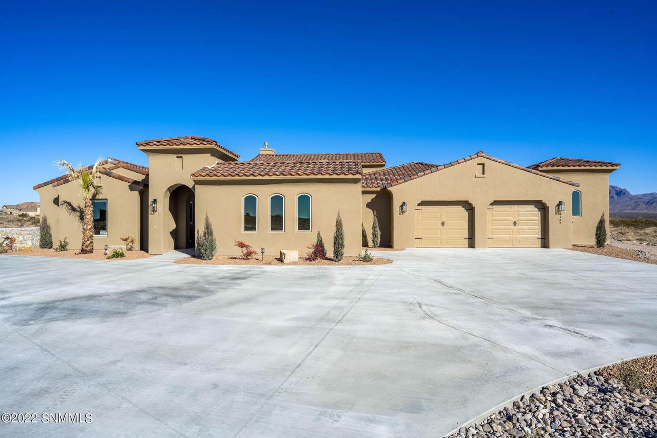 6125 Lazo Del Sur - Photo 1