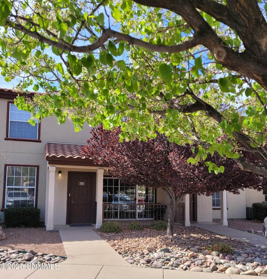 3901 Sonoma Springs Avenue - Photo 1