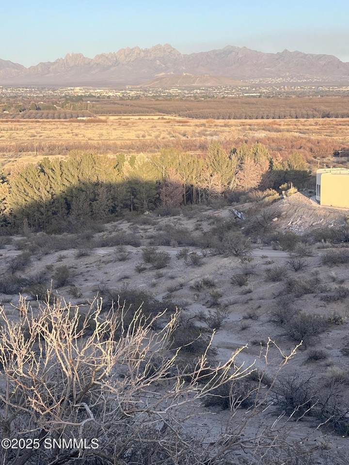 TBD Mesilla Hills Drive - Photo 1