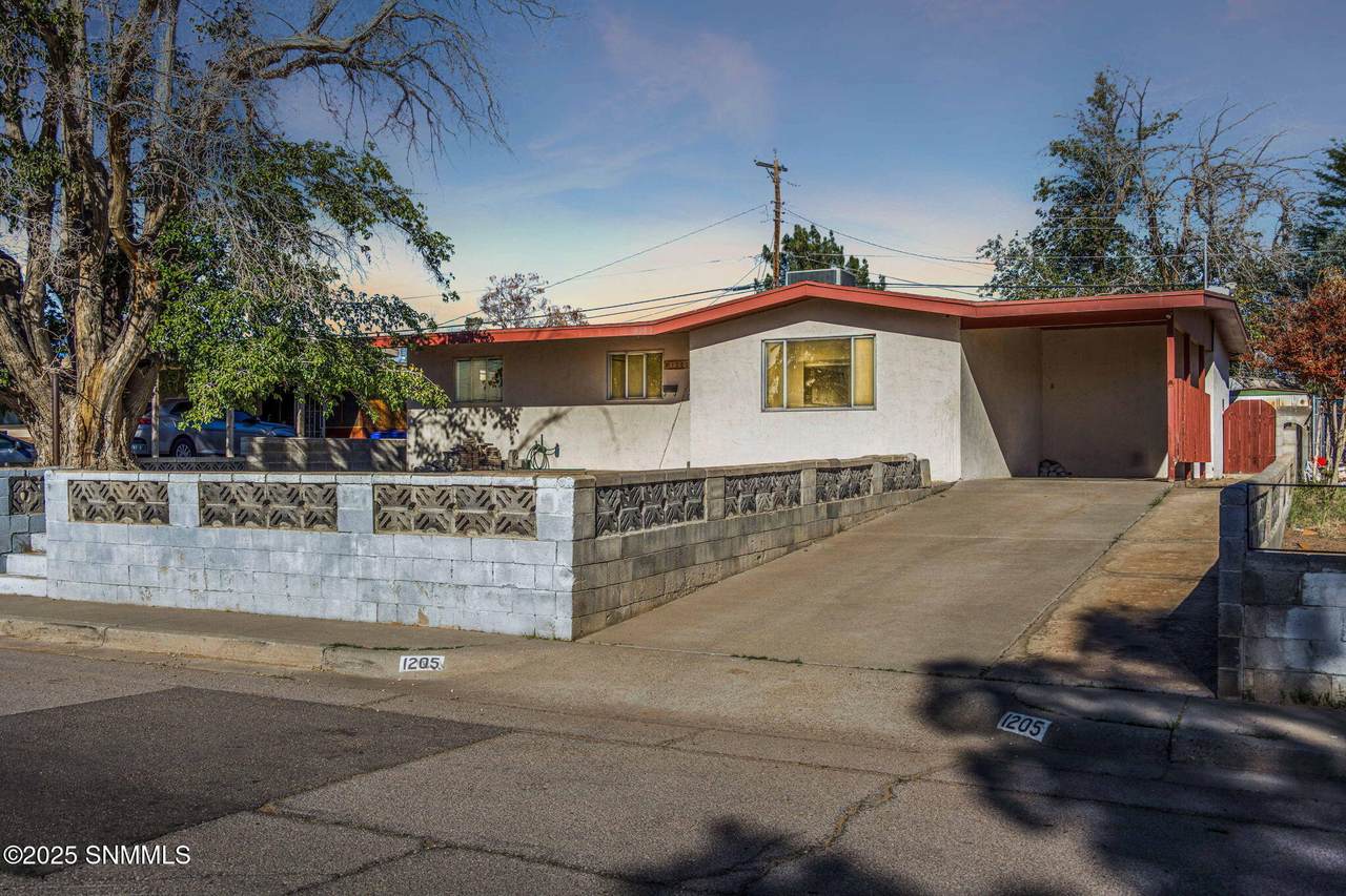 1205 Skyway Drive - Photo 1