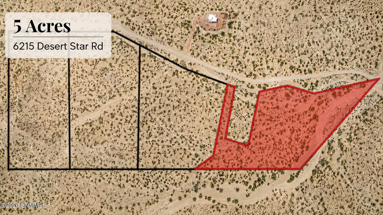 6215 Desert Star Road - Photo 1