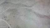 10 Nieto - Photo 5