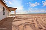 1353 Thar Desert Drive - Photo 38