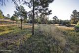 113 Charles Mcclellan Drive - Photo 12