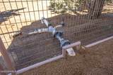 1520 Paisano Road - Photo 86