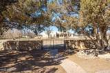 2080 Tres Pinos Lane - Photo 50