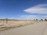 505 Palomino Road - Photo 8
