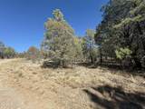 TBD El Dorado Drive - Photo 10