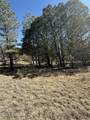 TBD El Dorado Drive - Photo 6