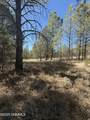 TBD El Dorado Drive - Photo 8