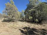 TBD El Dorado Drive - Photo 9