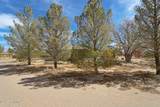 13346 Robledo Vista Road - Photo 14