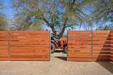 3820 Calle De Las Margaritas - Photo 30
