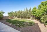 4328 Calle Bonita - Photo 47