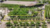 3100 Puerta Lane - Photo 1