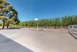 765 Pedro Madrid Road - Photo 32