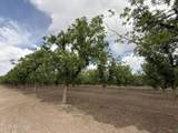 4695 Snow Road - Photo 2