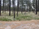 106 Jann Lane - Photo 5