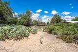 3005 Ronna Drive - Photo 38
