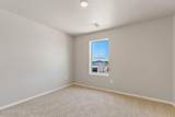 3161 Echinacea Lane - Photo 13