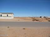 1413 Gobi Desert Drive - Photo 9