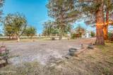 1015 Lister Drive - Photo 83