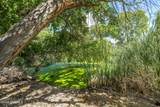 119 Trujillo Creek Road - Photo 62