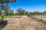 2849 Willow Creek Lane - Photo 46