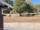 3515 Jack Frost Drive - Photo 48